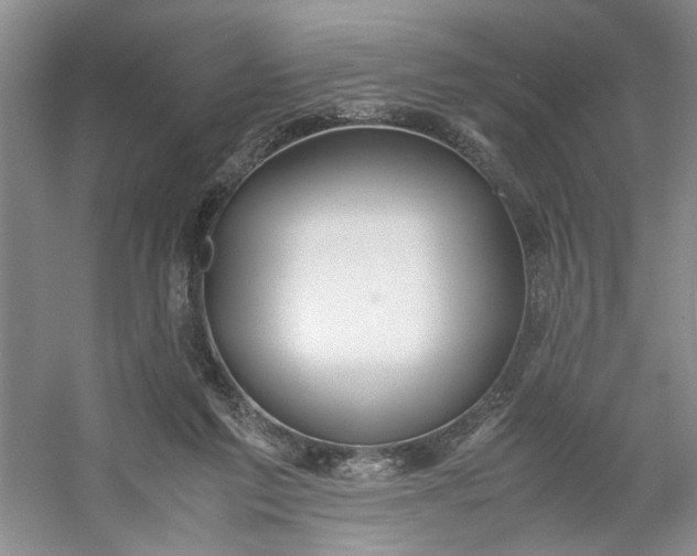 X0000053070213200507251508