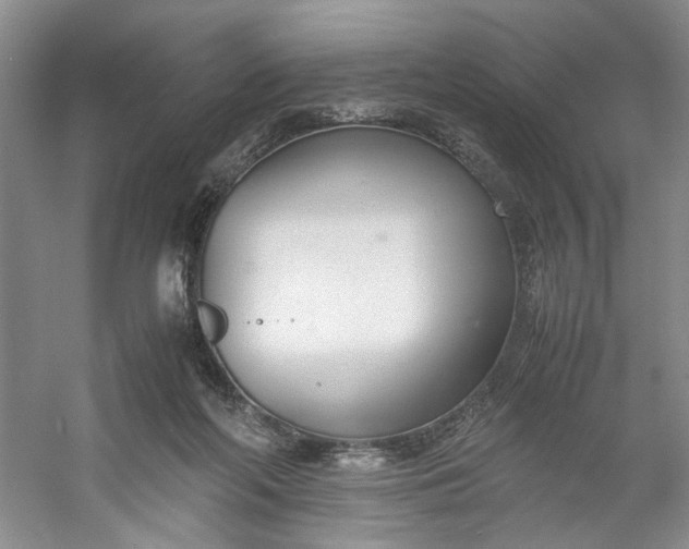 X0000053070214200507251508