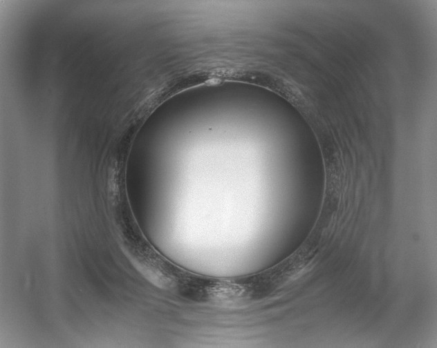 X0000053070215200507251508