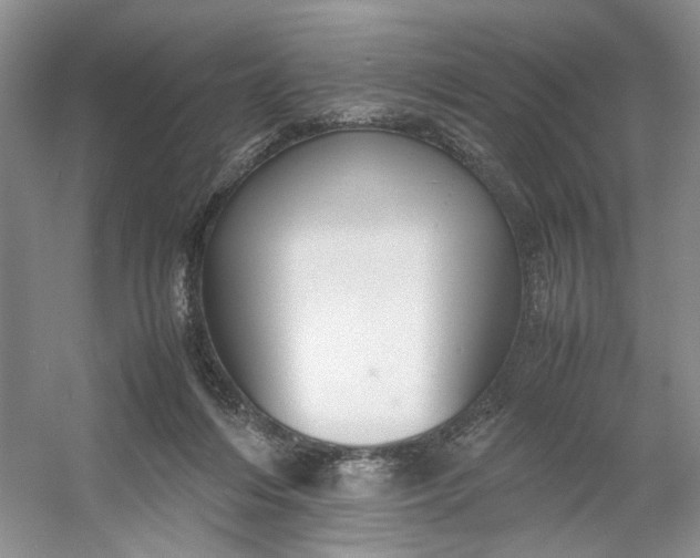 X0000053070216200507251508