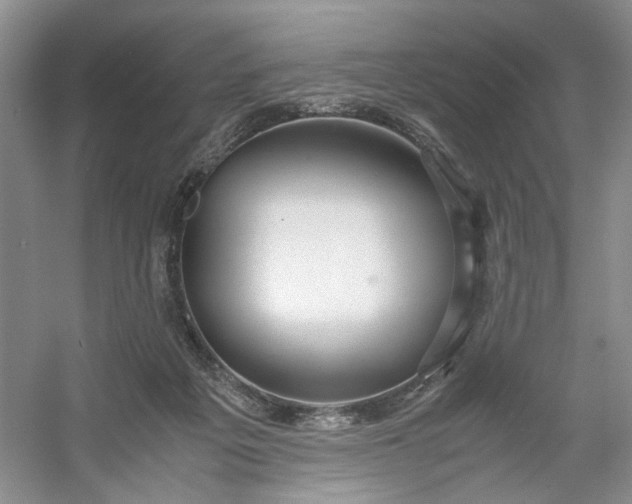 X0000053070217200507251508