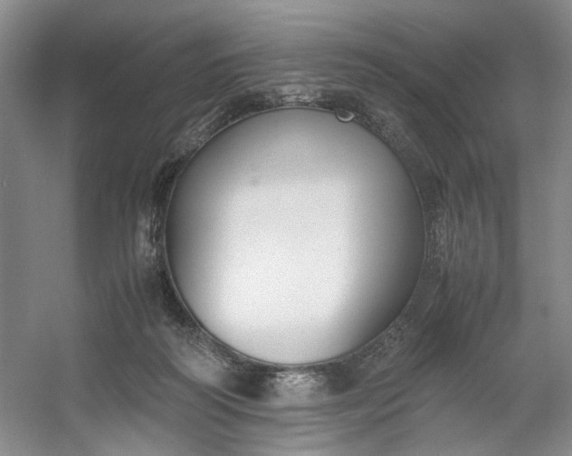 X0000053070218200507251508