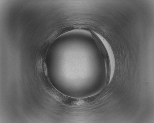 X0000053070219200507251508