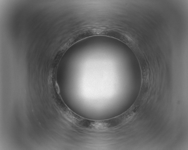 X0000053070221200507251508