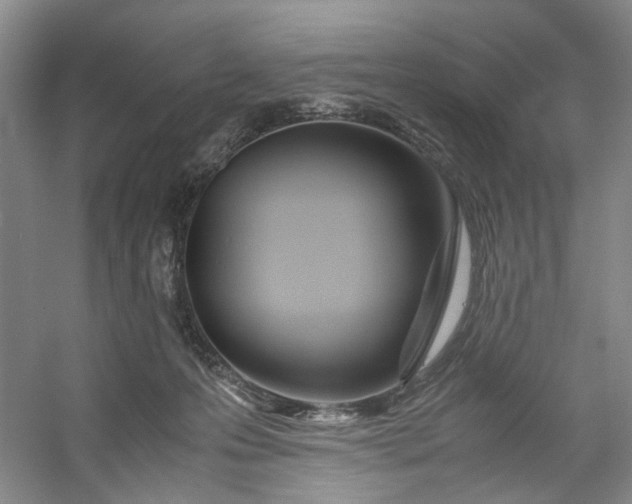 X0000053070223200507251508