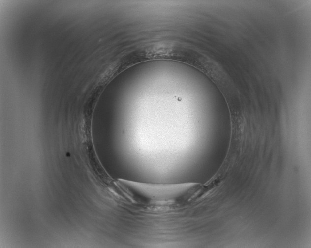 X0000053070224200507251508