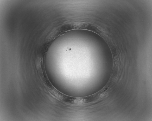 X0000053070225200507251508