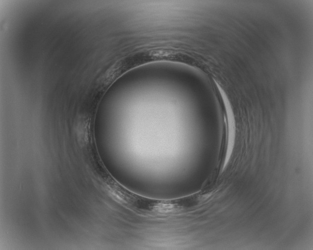 X0000053070227200507251508