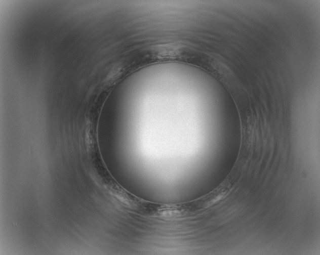 X0000053070228200507251508