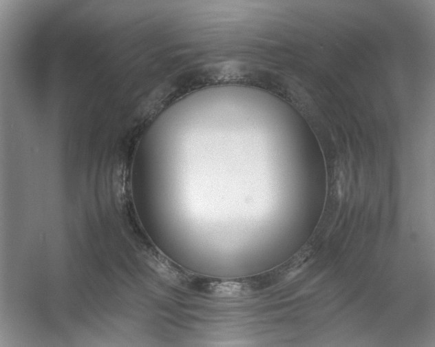 X0000053070230200507251508