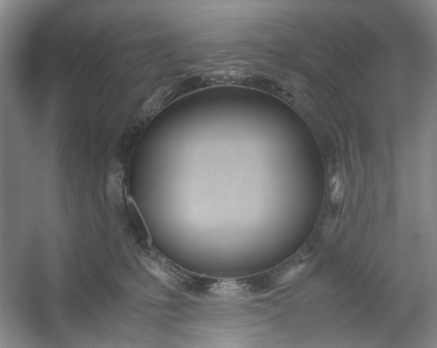 X0000053070231200507251508