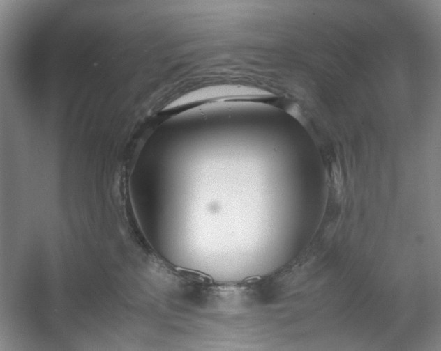 X0000053070233200507251508