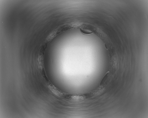 X0000053070234200507251508