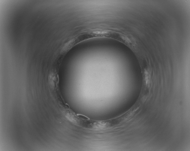 X0000053070235200507251508