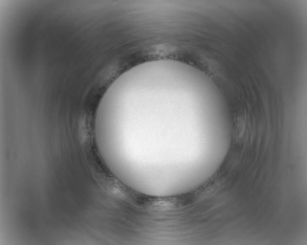 X0000053070236200507251508