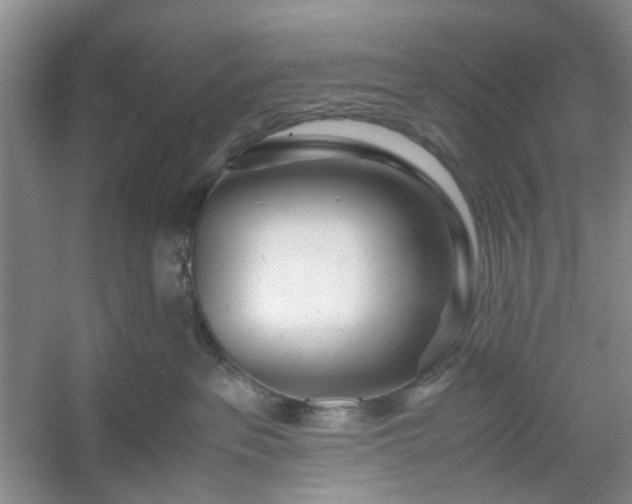 X0000053070237200507251508