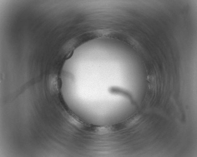 X0000053070238200507251508