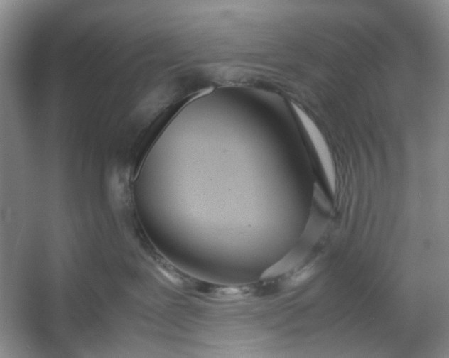 X0000053070239200507251508