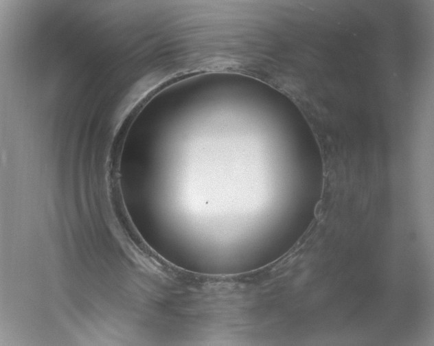 X0000053070242200507251507