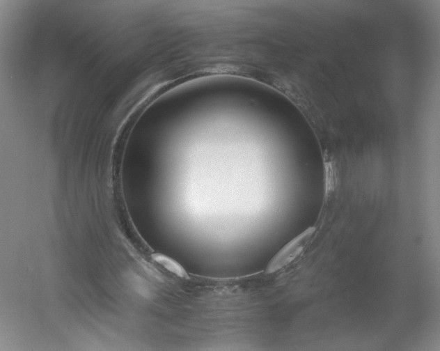 X0000053070243200507251507