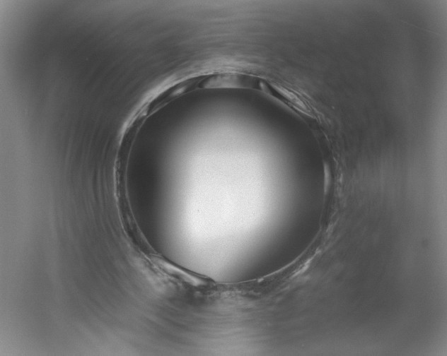 X0000053070244200507251507