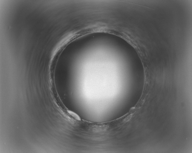 X0000053070245200507251507