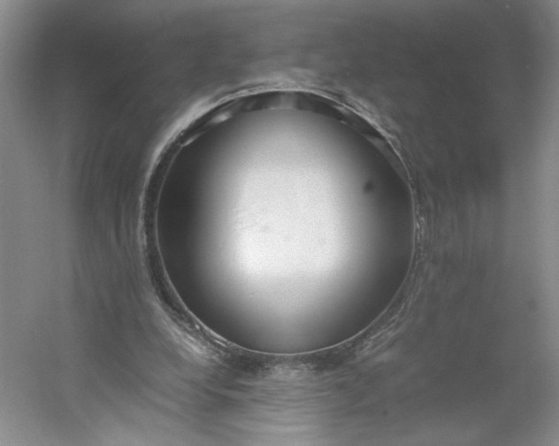 X0000053070248200507251507