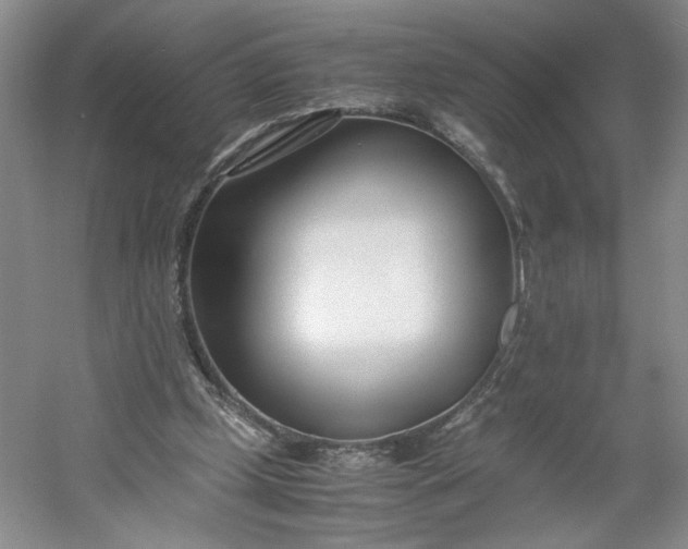 X0000053070249200507251507