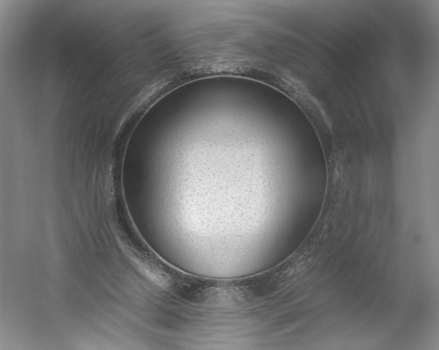 X0000053070250200507251507