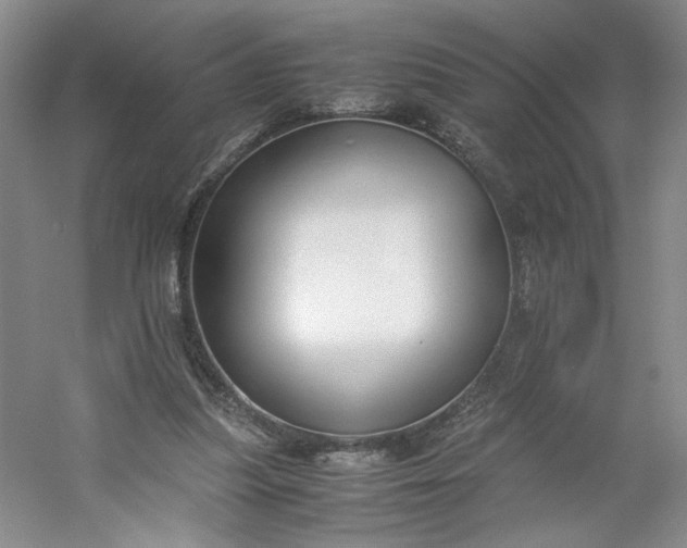 X0000053070251200507251507