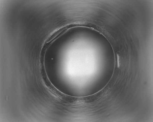 X0000053070252200507251507