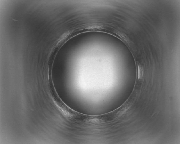 X0000053070253200507251507