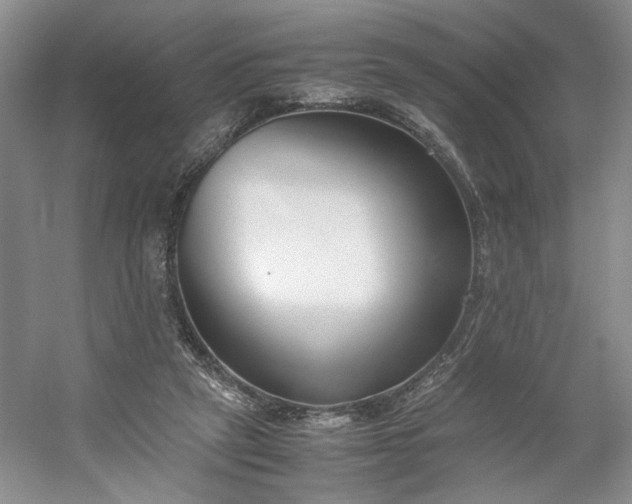 X0000053070257200507251507