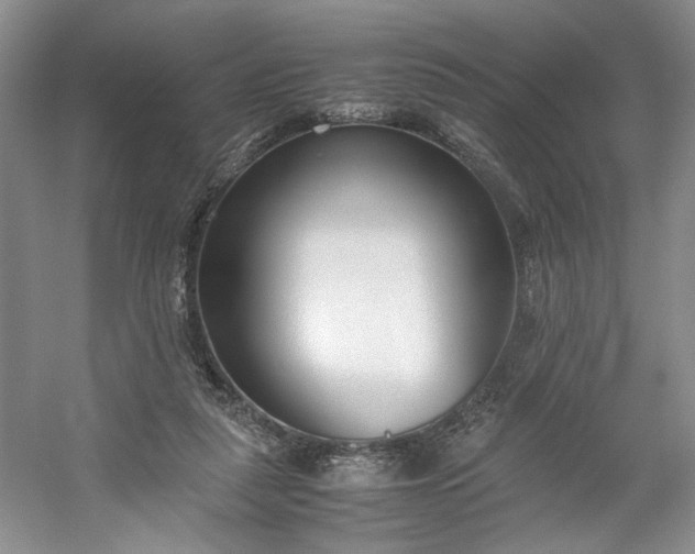 X0000053070259200507251507