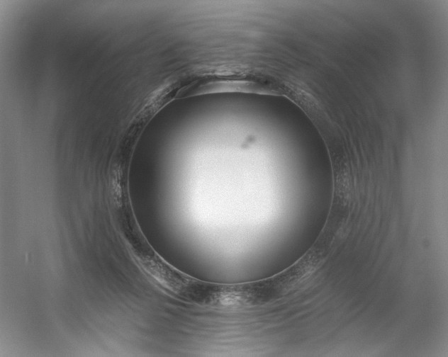 X0000053070264200507251507