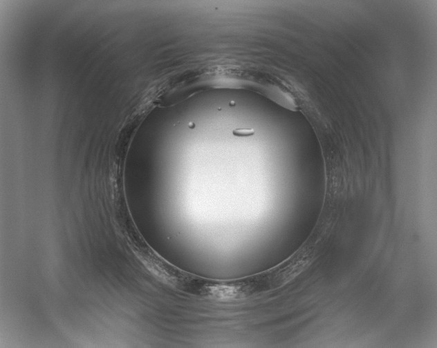 X0000053070265200507251507