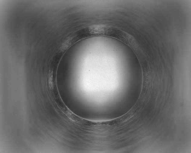 X0000053070267200507251507