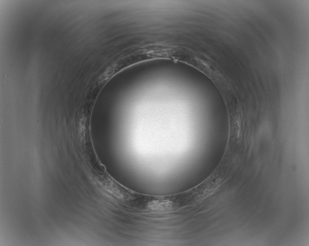 X0000053070271200507251507