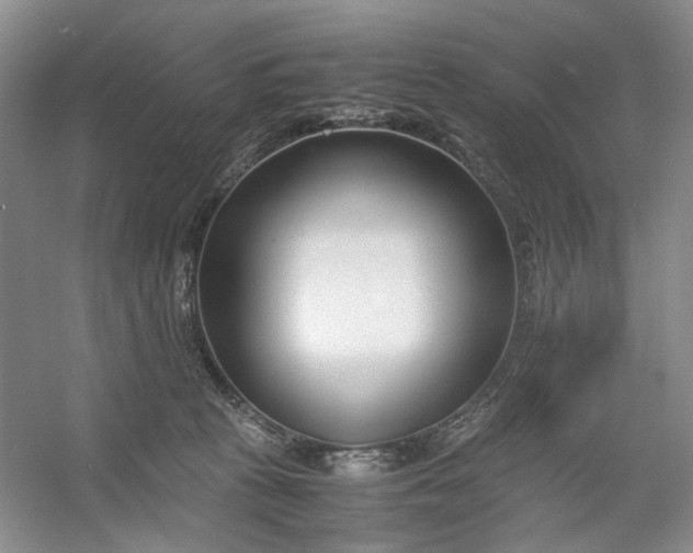 X0000053070273200507251507