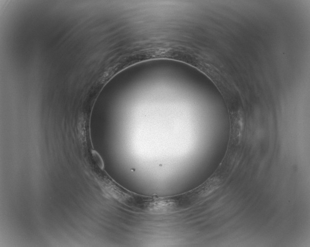 X0000053070274200507251507