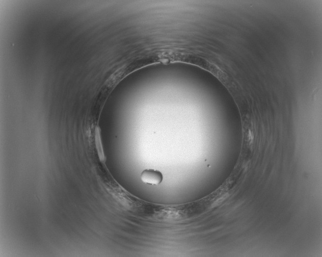 X0000053070276200507251507