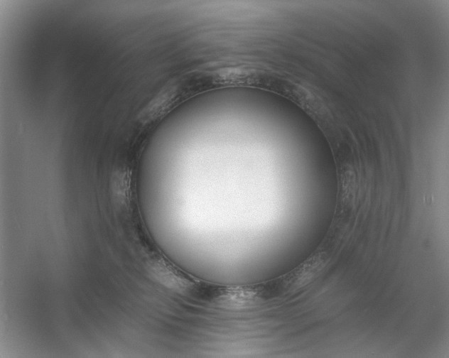 X0000053070278200507251507