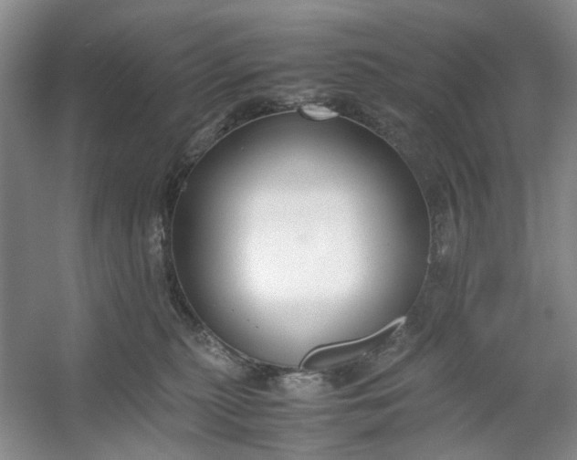 X0000053070279200507251507