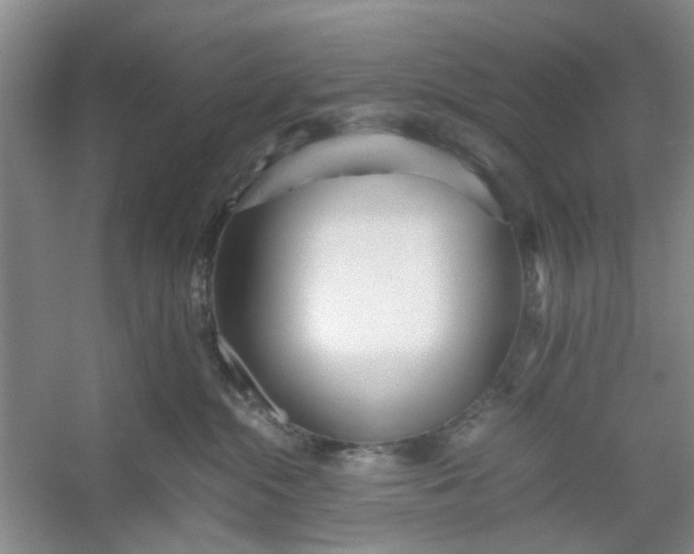 X0000053070284200507251508