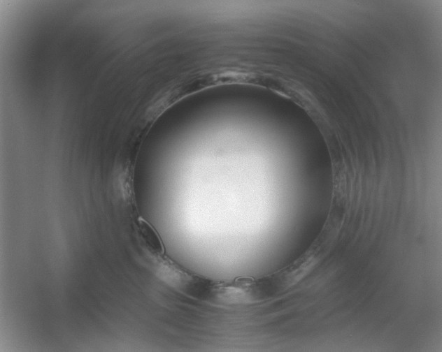 X0000053070285200507251508