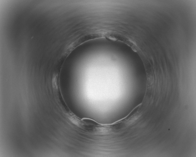 X0000053070286200507251508