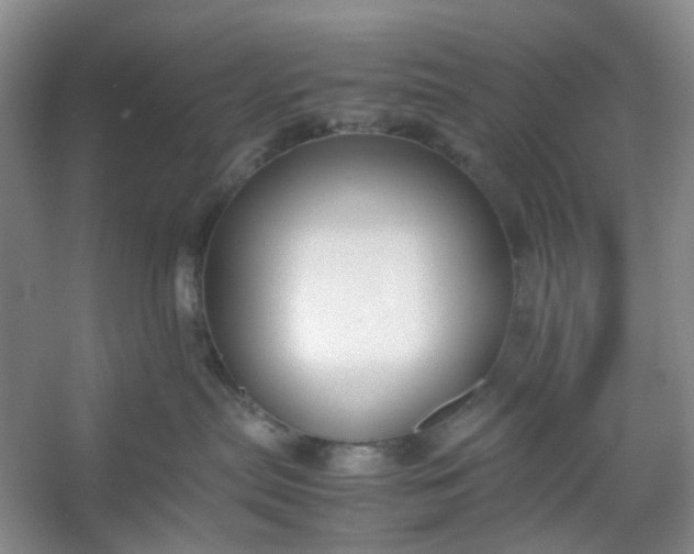 X0000053070287200507251508