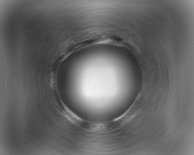 X0000053070288200507251508