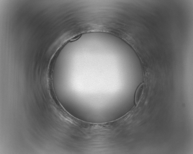 X0000053070290200507251507