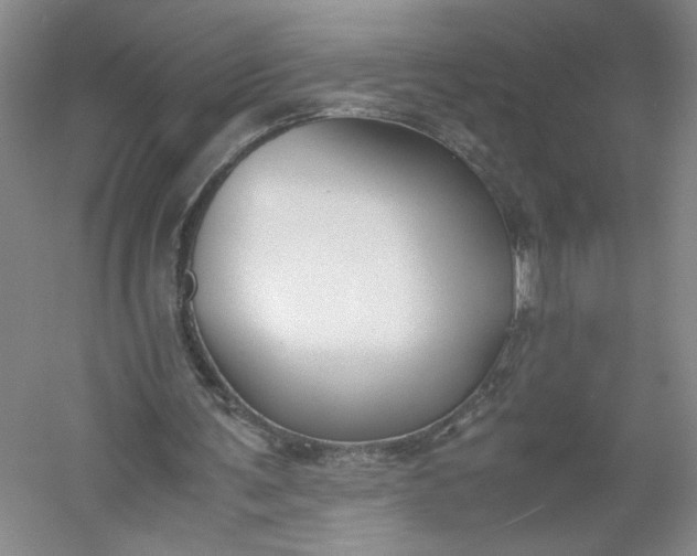 X0000053070291200507251507